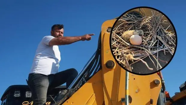 Kumru Aşkına 200 Bin TL'den Vazgeçti! Bu Fedakarlık Şaşırtıyor