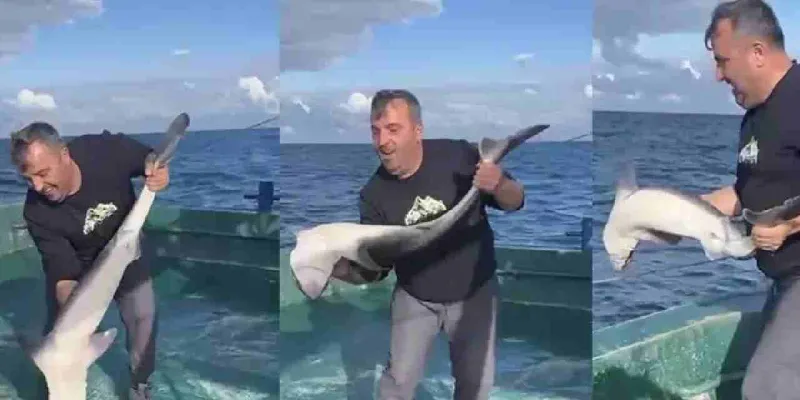 Karadeniz'de Şok! Balıkçıların Ağına Takılan Gördüklerinize İnanamayacaksınız!