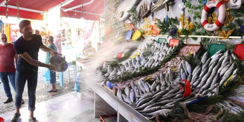 Balık Fiyatları Uçtu Mu? Av Sezonu Sonu Trabzon'da Balık Şoku!