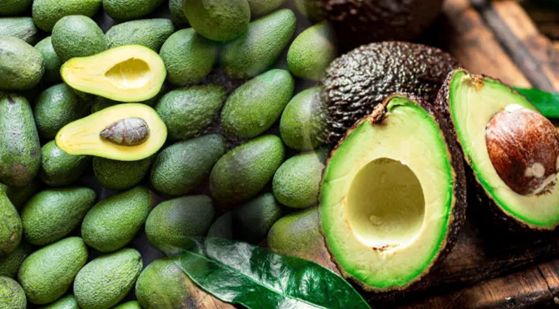 Avokado Olgunlaştırmanın Şok Eden Sırları! 🥑
