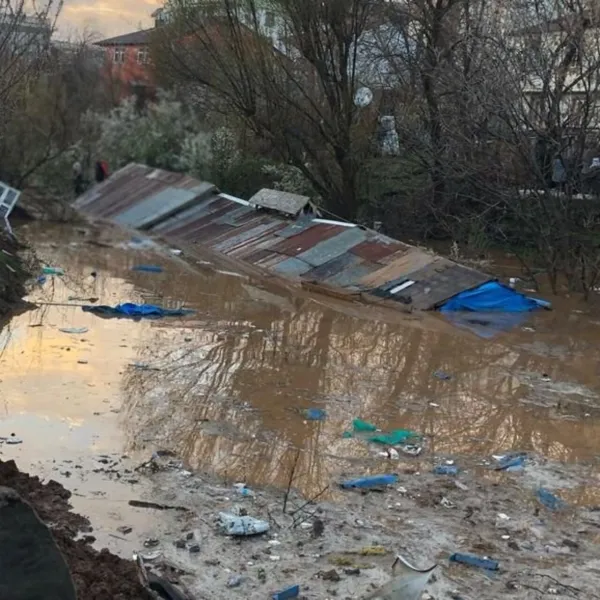 Bingöl'de Felaket! Sağanak Suları Ahırları Yuttu: Hayvanlar Can Verdi!