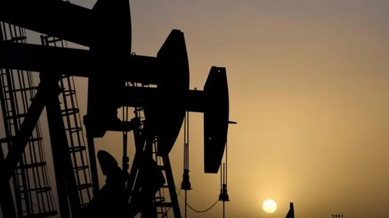 Sinopec Şandong'da dev kaya petrolü rezervi keşfetti