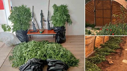 Mersin'de Gizli Kenevir Bahçesi Şoku! Evden Çıkanlar Akıllara Durgunluk Verdi