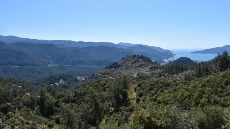 Muğla'da Ormanlara Giriş Yasaklandı! İşte Sebebi ve Detaylar