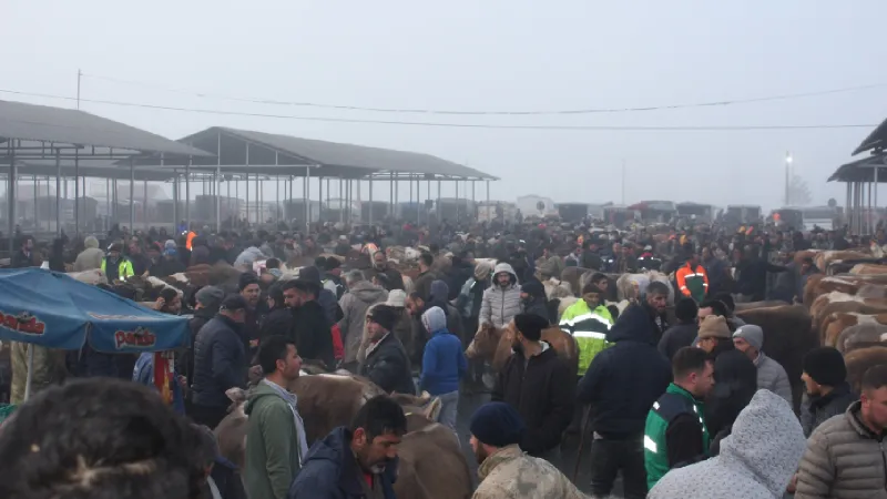 Sivas Hayvan Pazarı: Yoğunluk Rekor Kırıyor! Fiyatlar Uçuyor Mu?