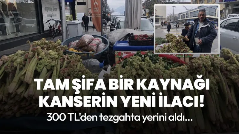 Kansere Çare Mi? Işgın Fiyatı Dudak Uçuklattı! Şok Gelişme!