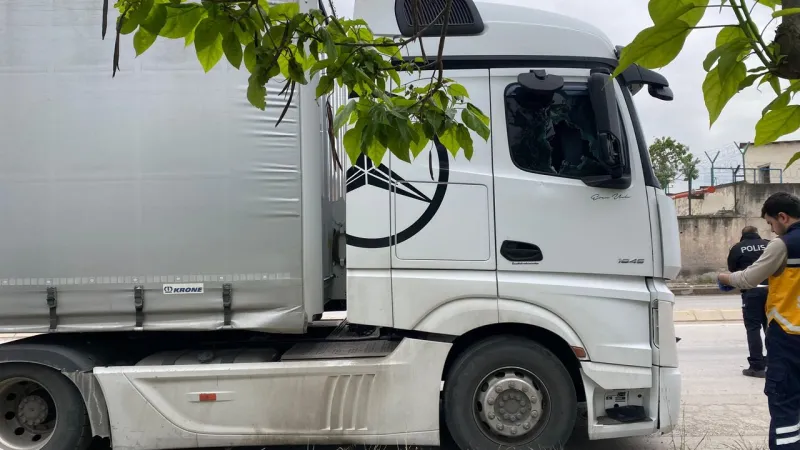 Tır Şoförü Kabinde Ölü Bulundu: Kocaeli'de Şok!