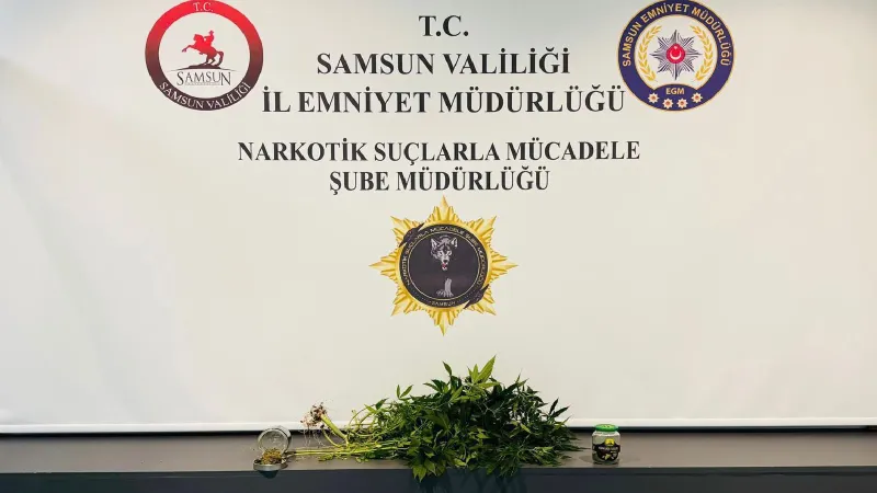 Samsun'da evde kurdukları serada kenevir yetiştiren 2 kişiye gözaltı